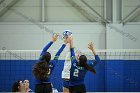 VB vs Salve  Wheaton Women’s Volleyball vs Salve Regina University. : volleyball